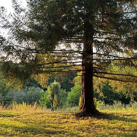 Gasthuis Chateau De 3*