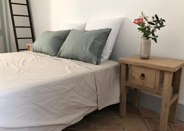 Pensionat Chateau De Savignac (Gironde)