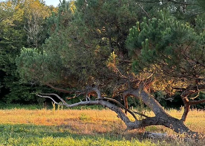 Pensionat Chateau De