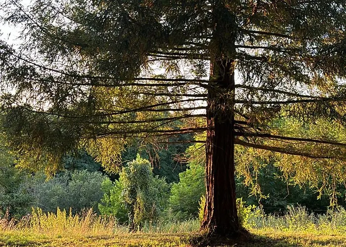 Pensionat Chateau De 3*