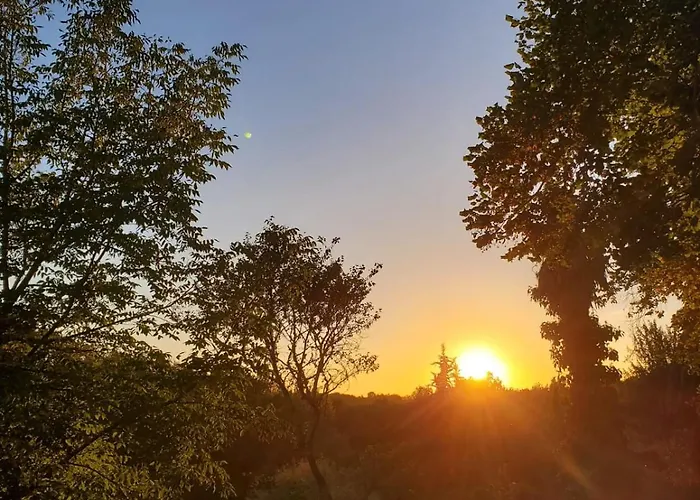 Chateau De 3* Savignac (Gironde)